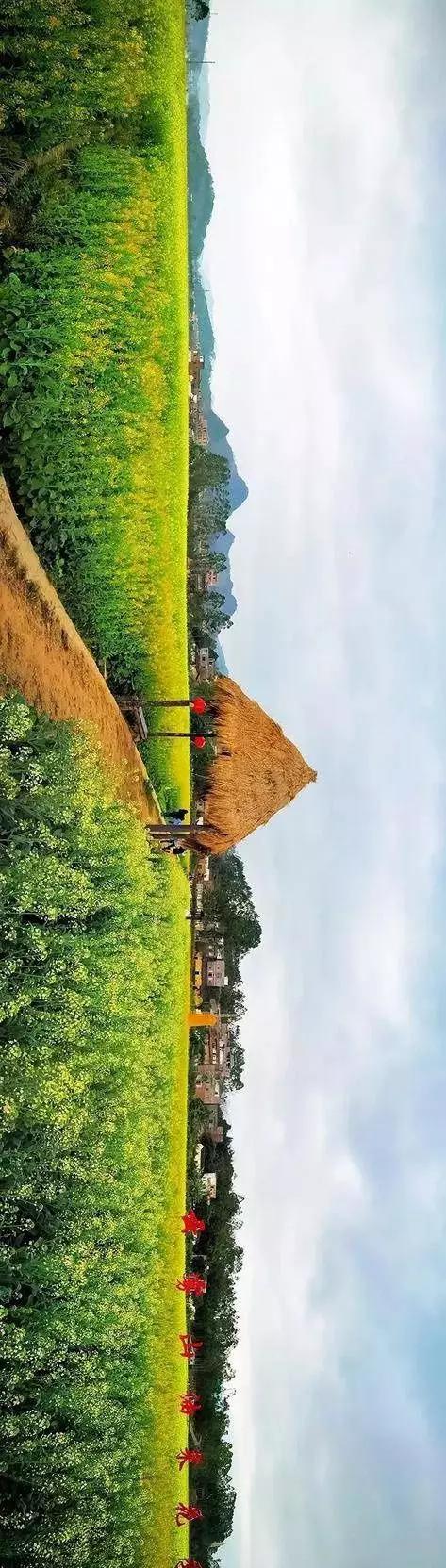 中國(guó)經(jīng)濟(jì)體制改革基金會(huì)全國(guó)第一！中國(guó)改革熱度第三方評(píng)估出爐，云浮宣傳系數(shù)在全國(guó)343個(gè)城市居首位                             